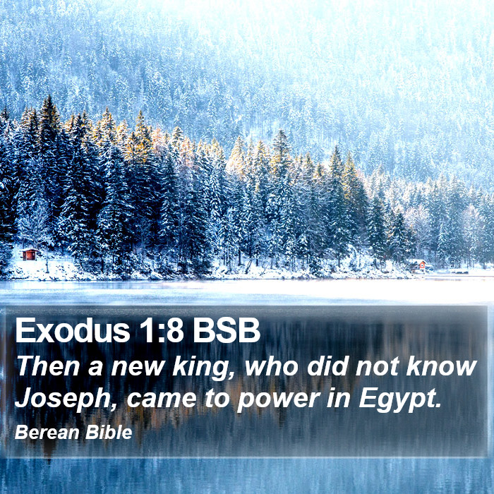 Exodus 1:8 BSB Bible Study