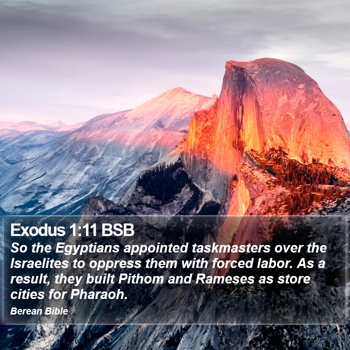 Exodus 1:11 BSB Bible Study