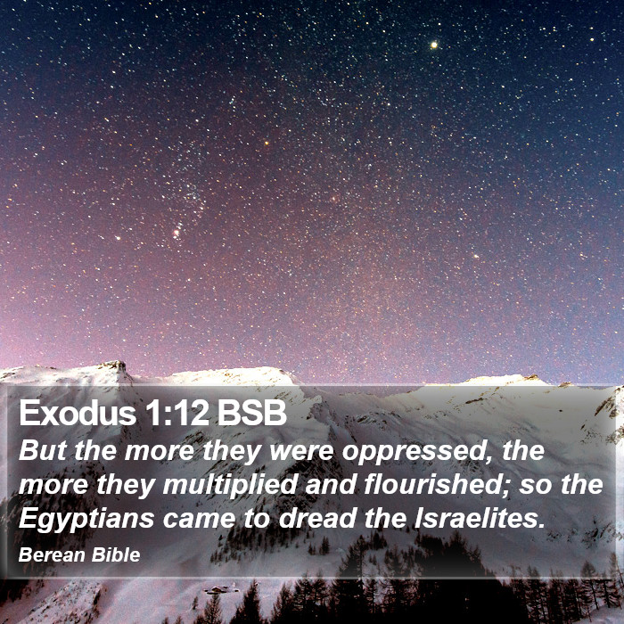 Exodus 1:12 BSB Bible Study