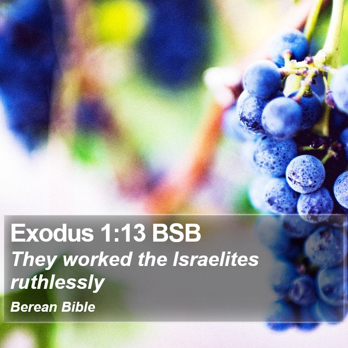 Exodus 1:13 BSB Bible Study