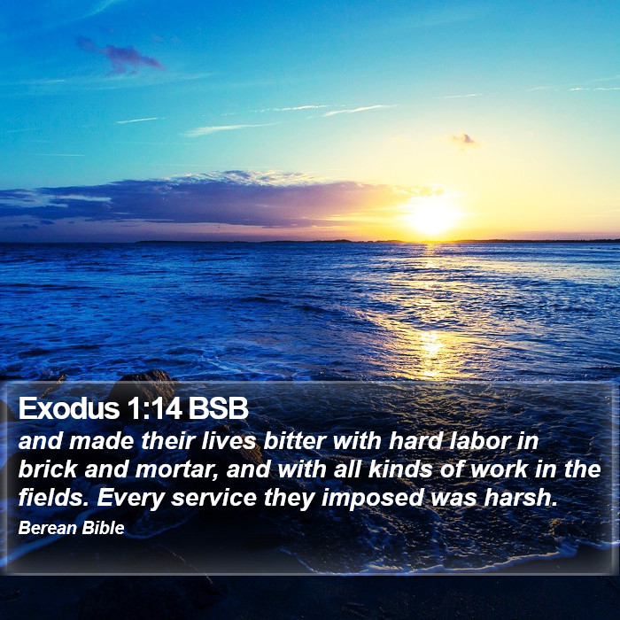 Exodus 1:14 BSB Bible Study