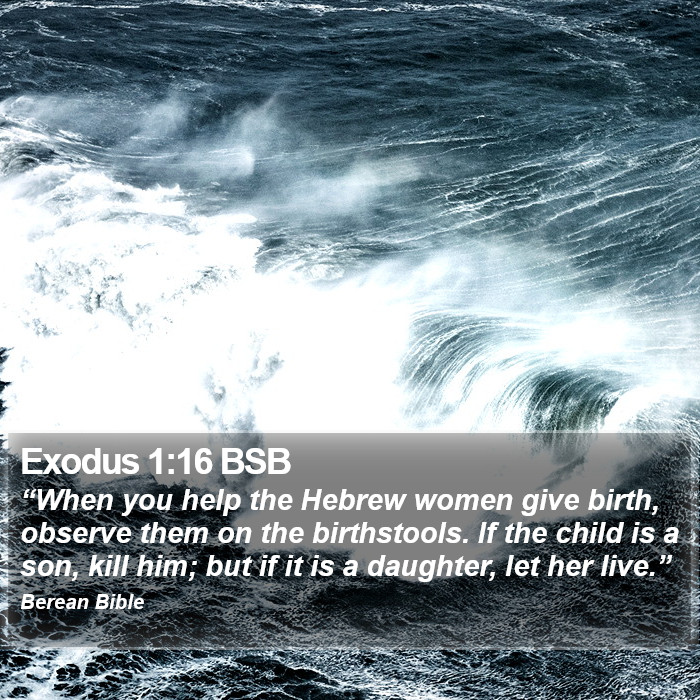 Exodus 1:16 BSB Bible Study