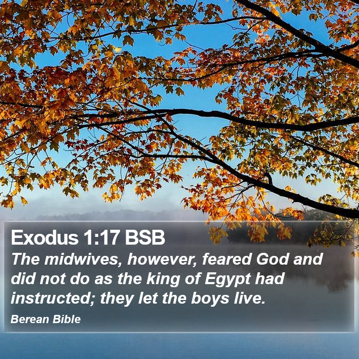 Exodus 1:17 BSB Bible Study