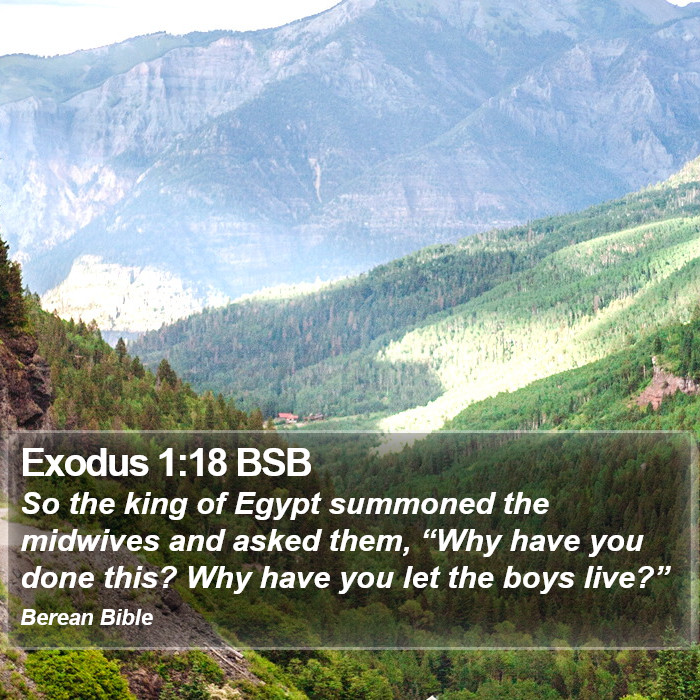 Exodus 1:18 BSB Bible Study