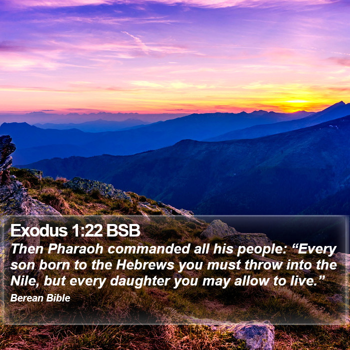 Exodus 1:22 BSB Bible Study