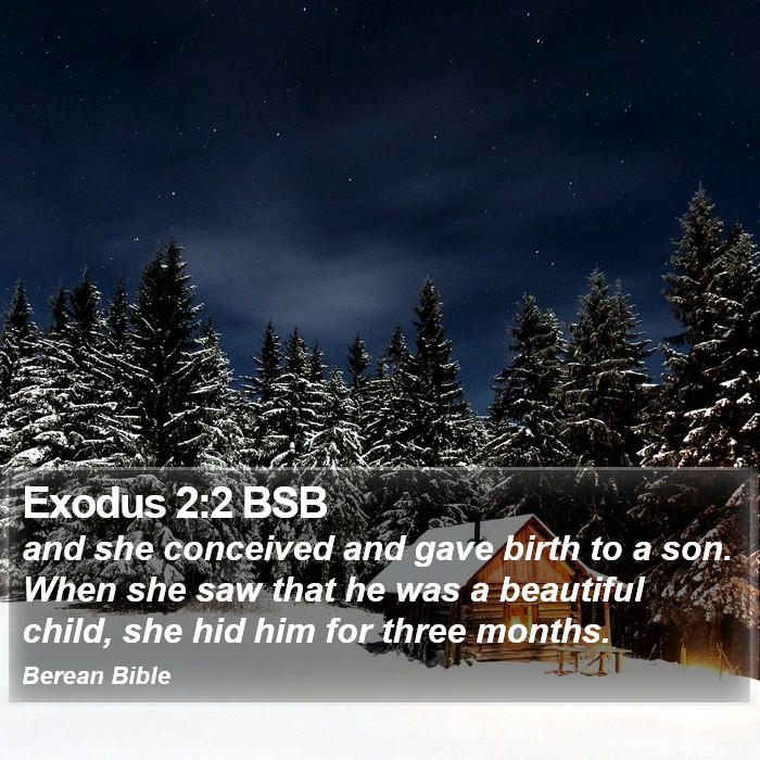 Exodus 2:2 BSB Bible Study