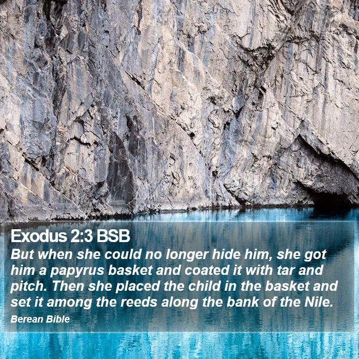 Exodus 2:3 BSB Bible Study