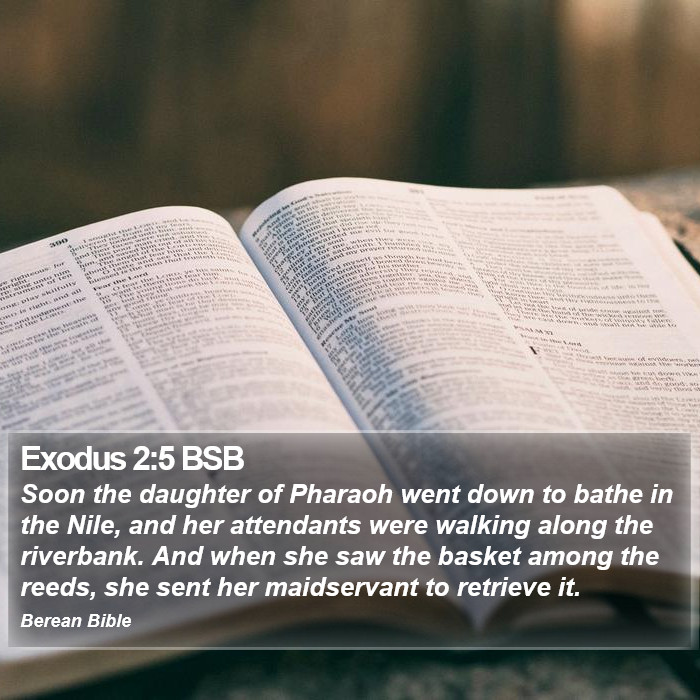 Exodus 2:5 BSB Bible Study