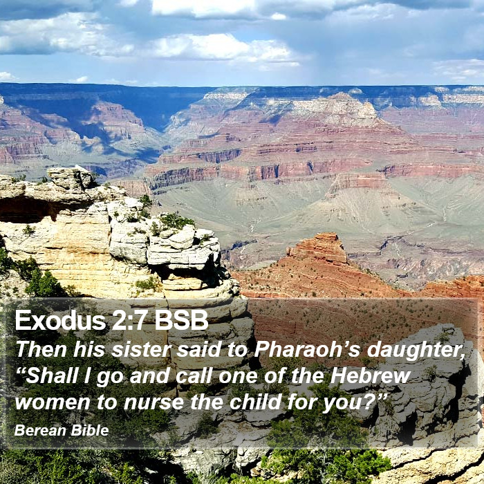 Exodus 2:7 BSB Bible Study