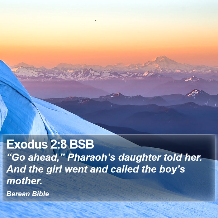 Exodus 2:8 BSB Bible Study