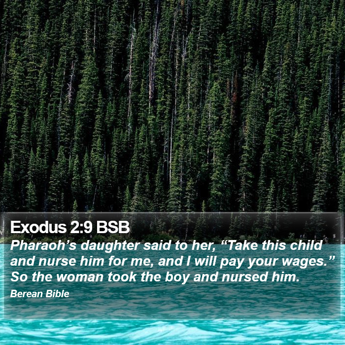 Exodus 2:9 BSB Bible Study