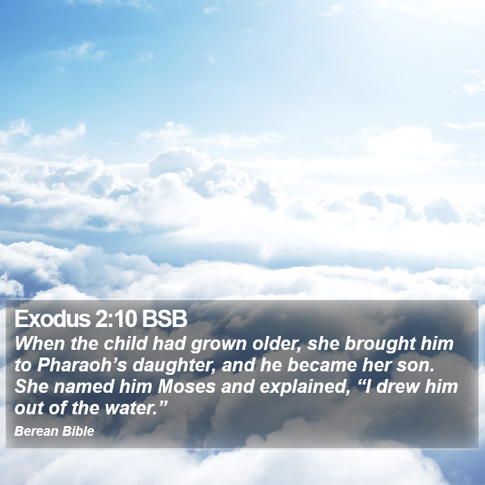 Exodus 2:10 BSB Bible Study