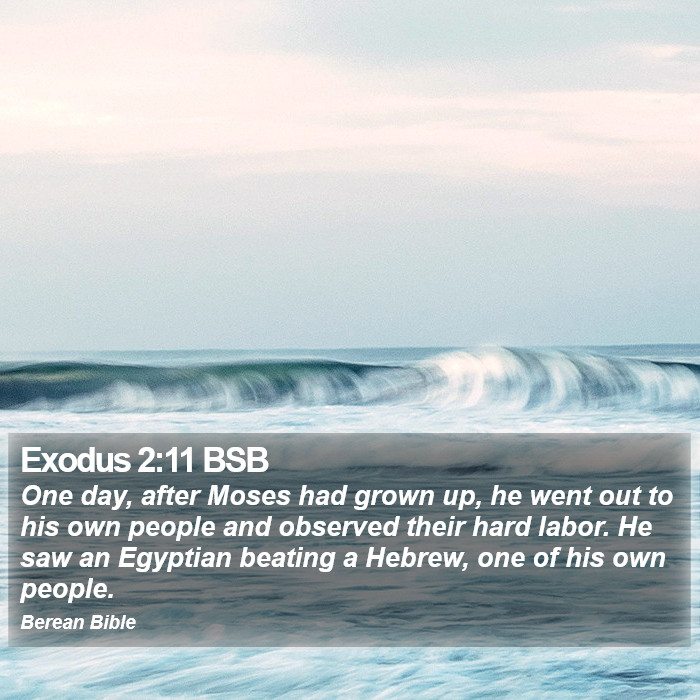 Exodus 2:11 BSB Bible Study