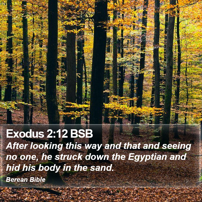 Exodus 2:12 BSB Bible Study