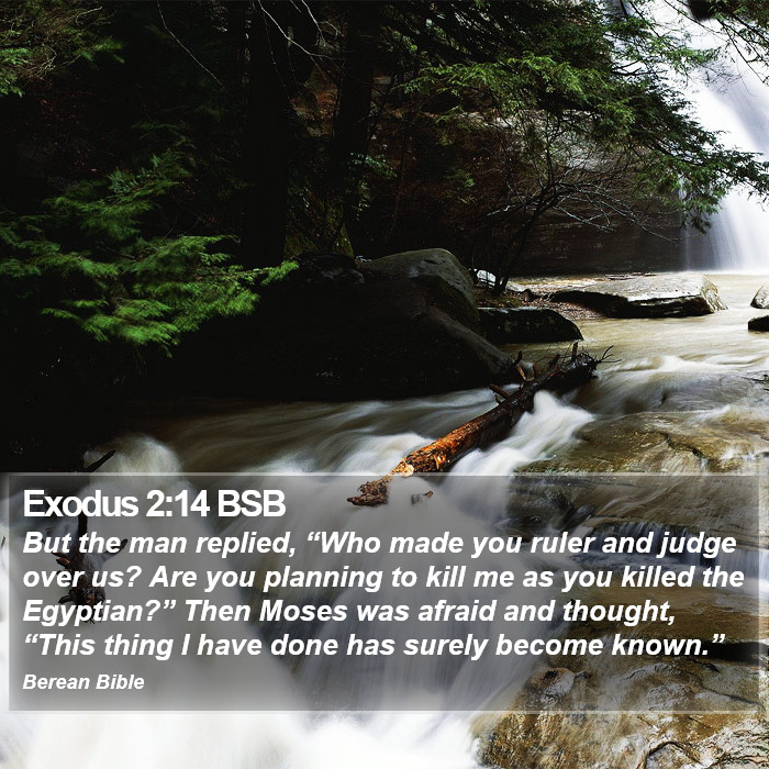 Exodus 2:14 BSB Bible Study