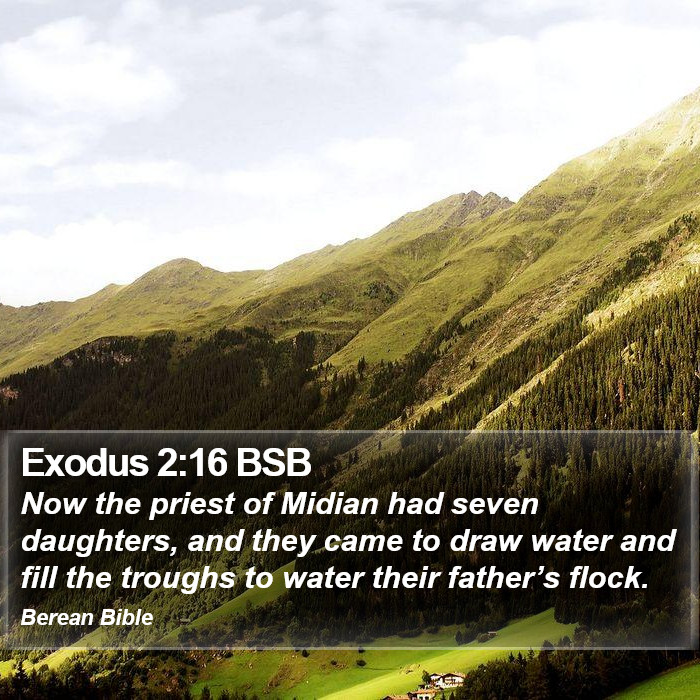 Exodus 2:16 BSB Bible Study