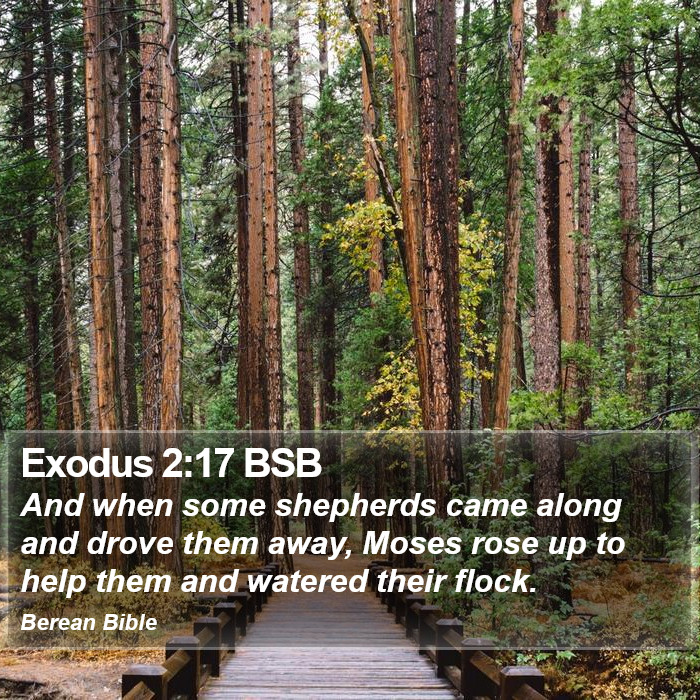 Exodus 2:17 BSB Bible Study