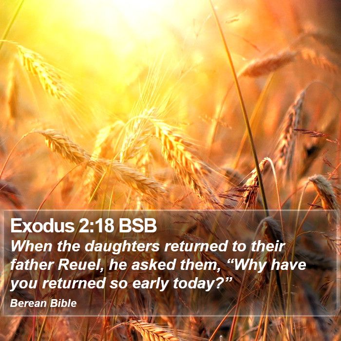 Exodus 2:18 BSB Bible Study