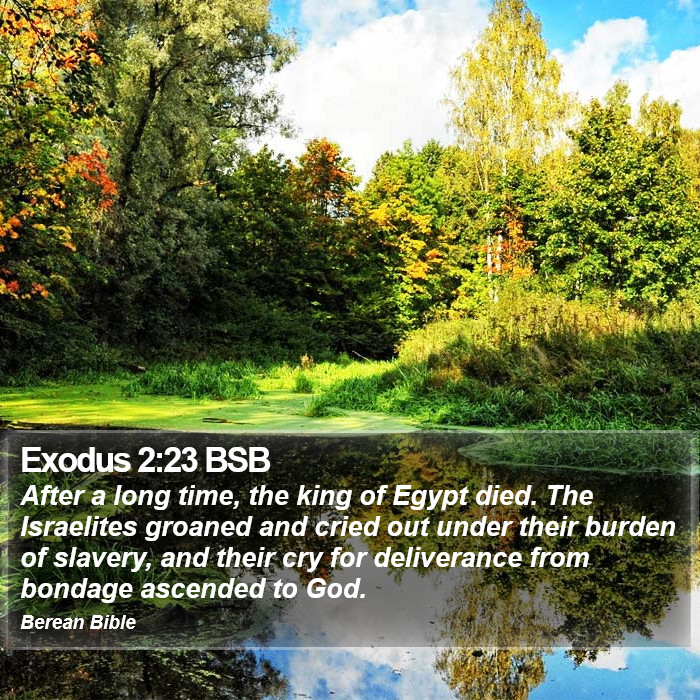 Exodus 2:23 BSB Bible Study