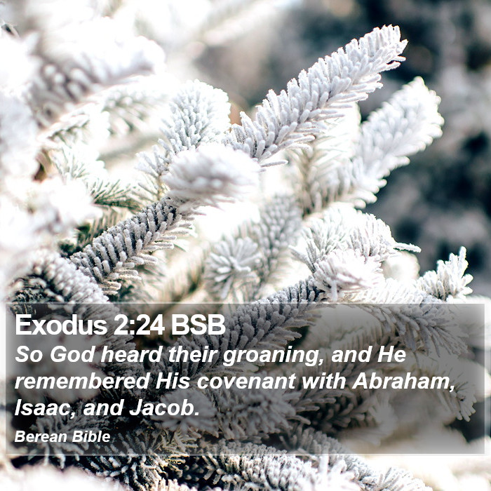 Exodus 2:24 BSB Bible Study