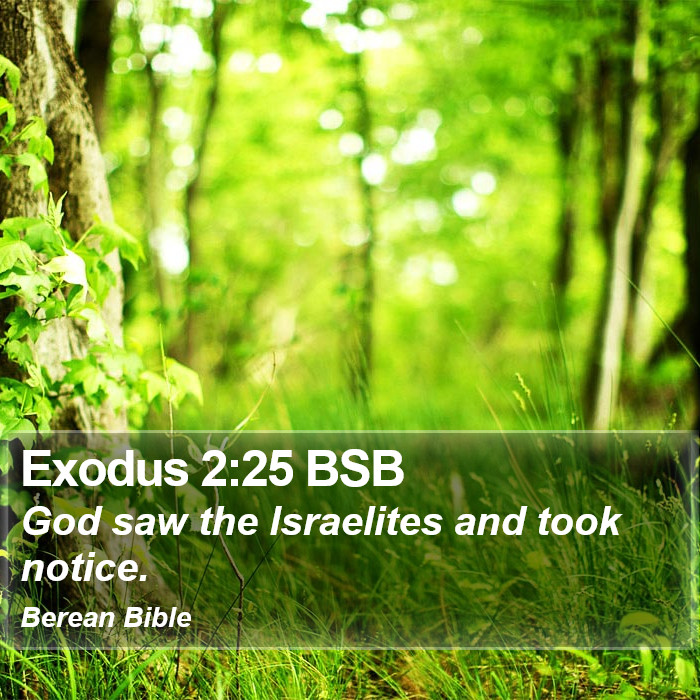 Exodus 2:25 BSB Bible Study