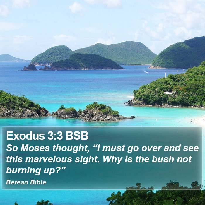 Exodus 3:3 BSB Bible Study