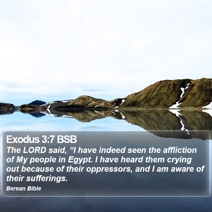 Exodus 3:7 BSB Bible Study