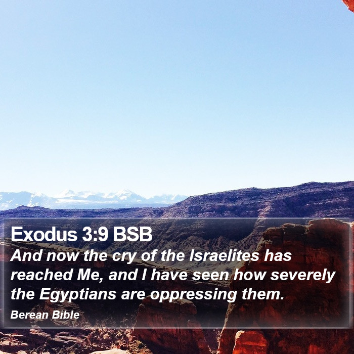 Exodus 3:9 BSB Bible Study