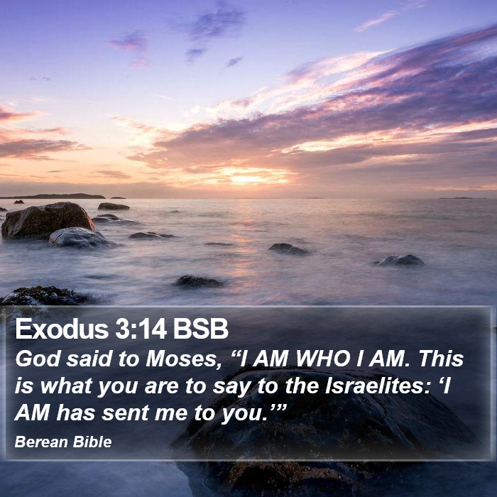 Exodus 3:14 BSB Bible Study