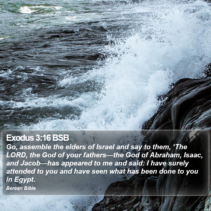 Exodus 3:16 BSB Bible Study