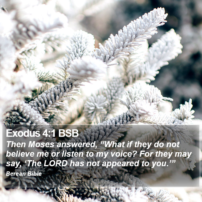 Exodus 4:1 BSB Bible Study