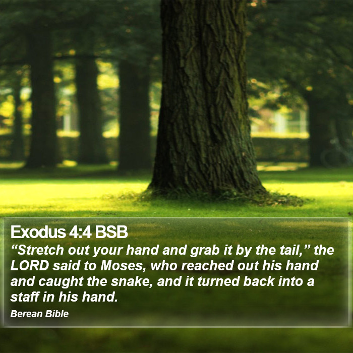 Exodus 4:4 BSB Bible Study