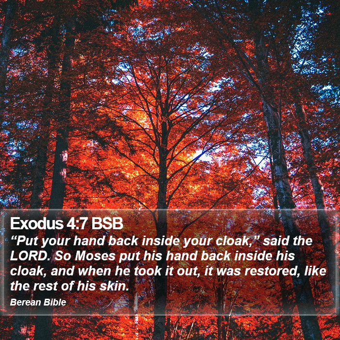 Exodus 4:7 BSB Bible Study