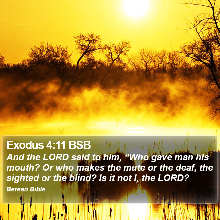 Exodus 4:11 BSB Bible Study