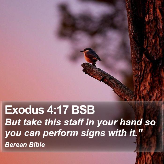 Exodus 4:17 BSB Bible Study