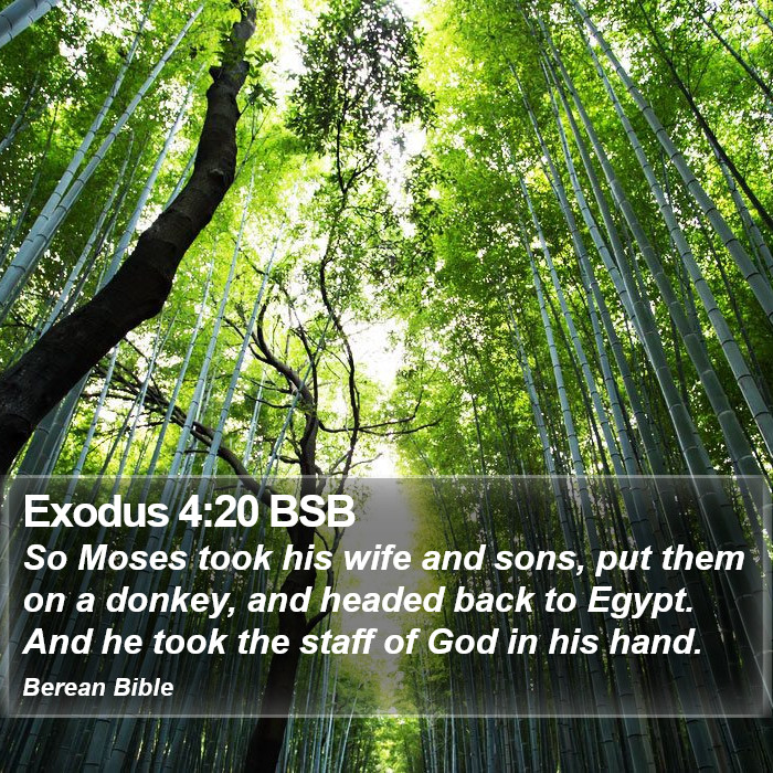 Exodus 4:20 BSB Bible Study