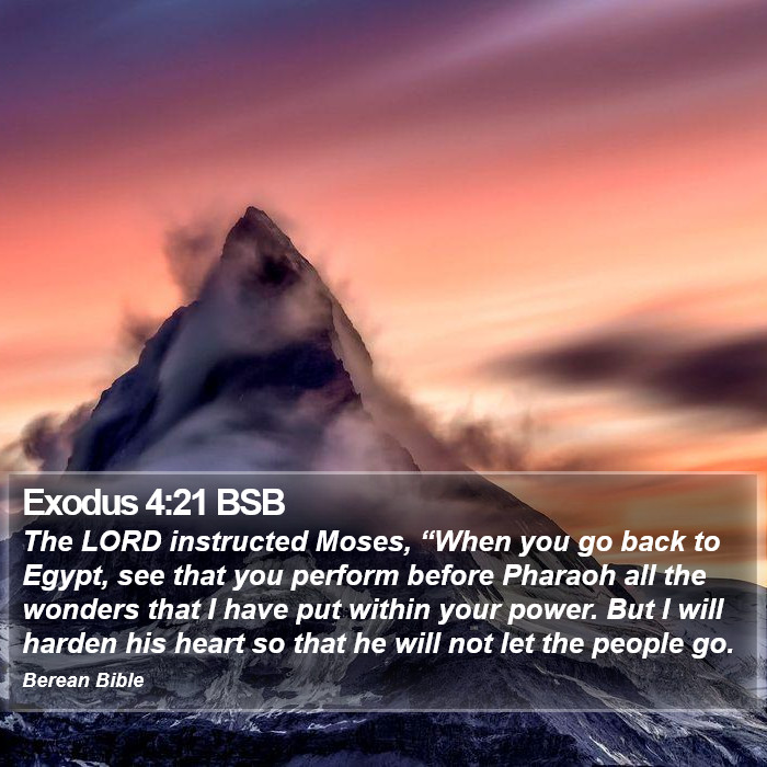 Exodus 4:21 BSB Bible Study