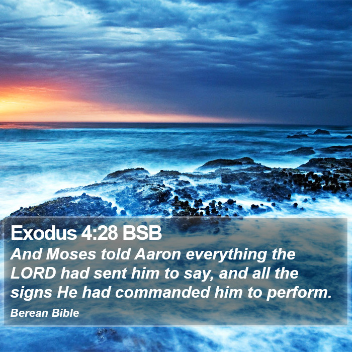 Exodus 4:28 BSB Bible Study