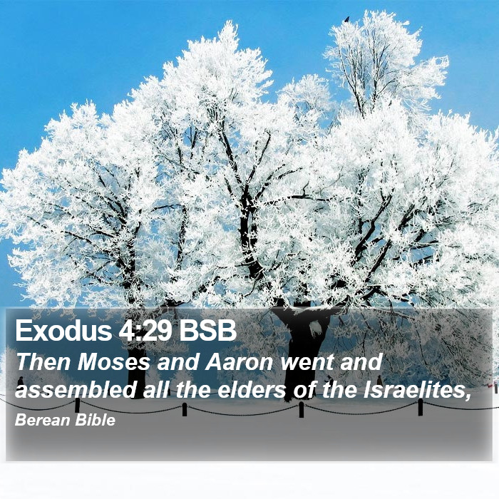 Exodus 4:29 BSB Bible Study