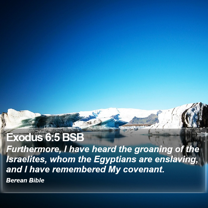 Exodus 6:5 BSB Bible Study