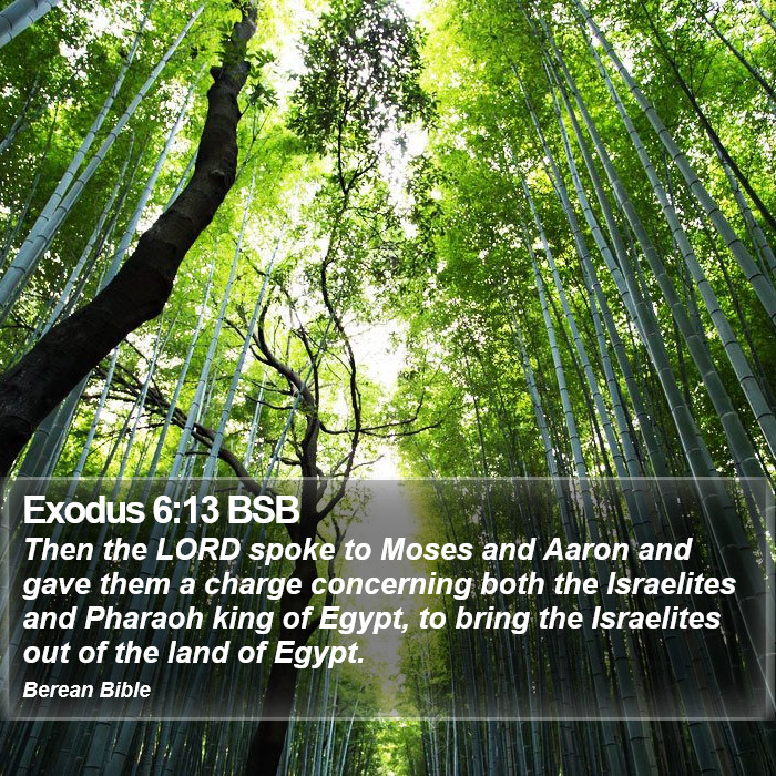 Exodus 6:13 BSB Bible Study