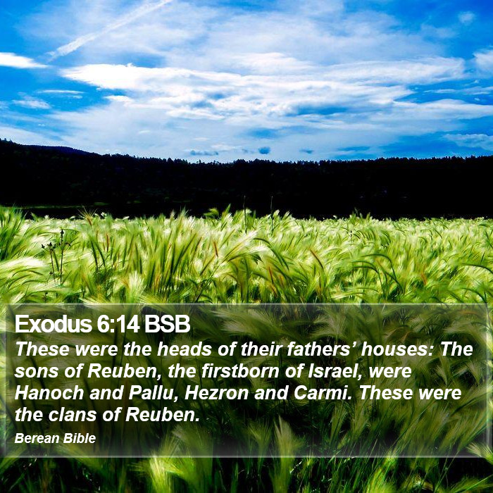 Exodus 6:14 BSB Bible Study