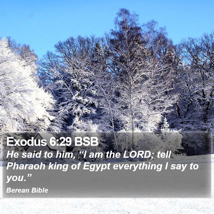 Exodus 6:29 BSB Bible Study