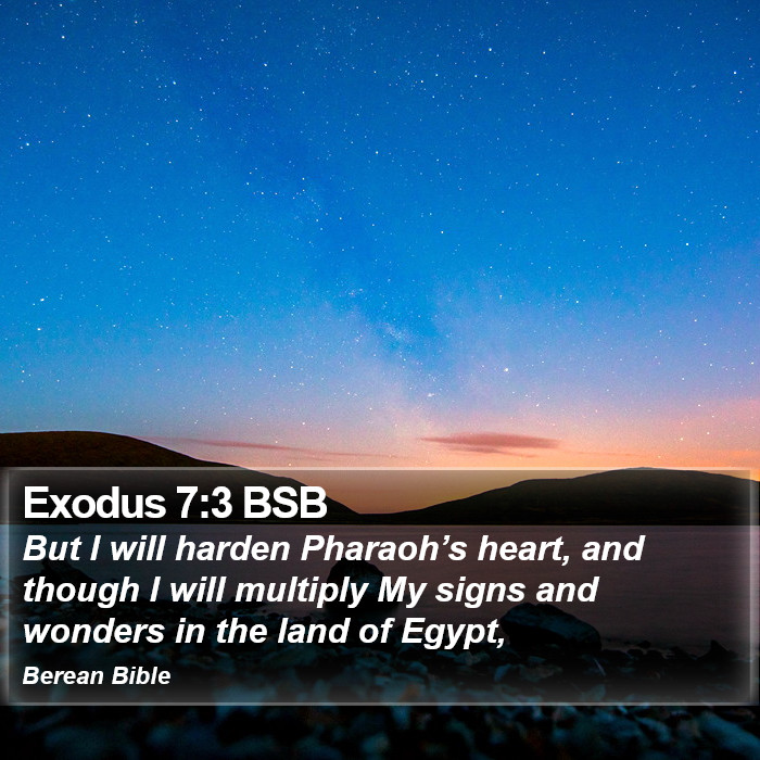 Exodus 7:3 BSB Bible Study