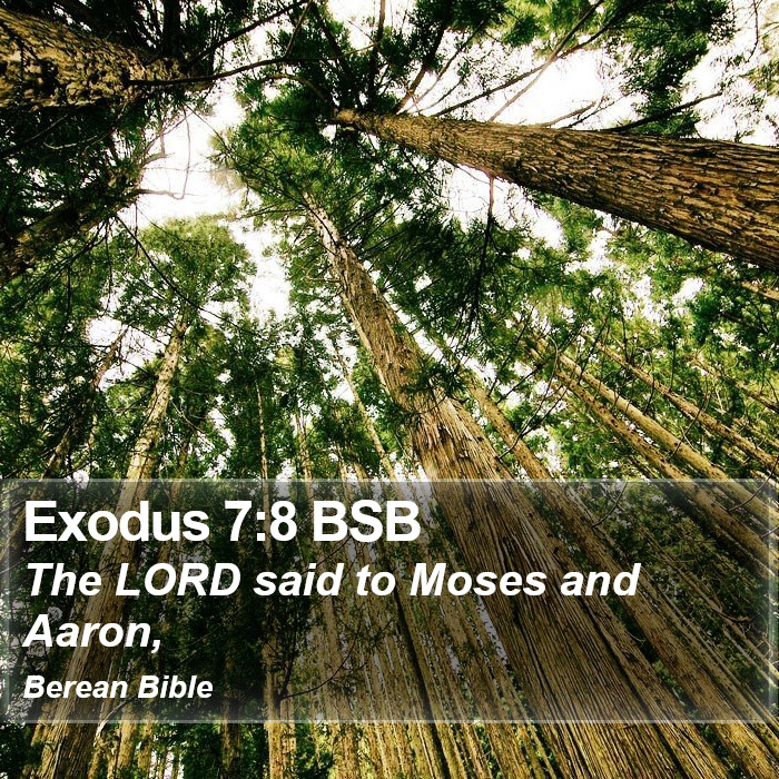 Exodus 7:8 BSB Bible Study