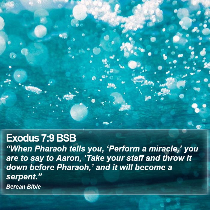 Exodus 7:9 BSB Bible Study