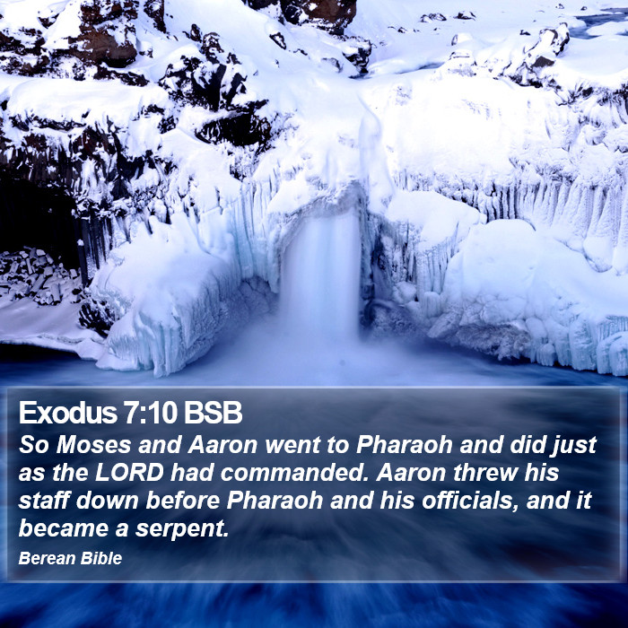 Exodus 7:10 BSB Bible Study