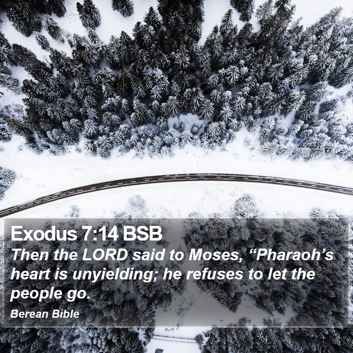 Exodus 7:14 BSB Bible Study