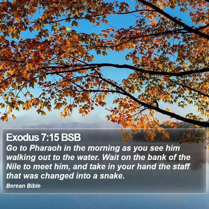 Exodus 7:15 BSB Bible Study