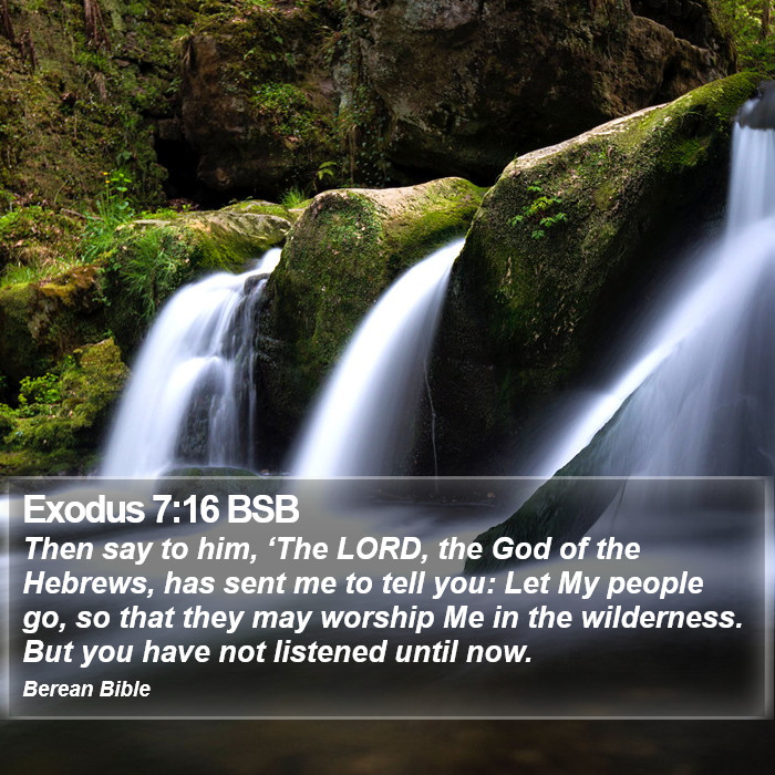 Exodus 7:16 BSB Bible Study